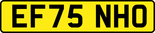 EF75NHO