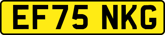 EF75NKG
