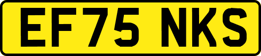 EF75NKS
