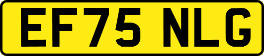 EF75NLG