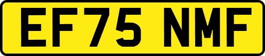 EF75NMF
