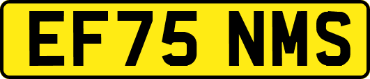 EF75NMS