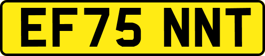 EF75NNT