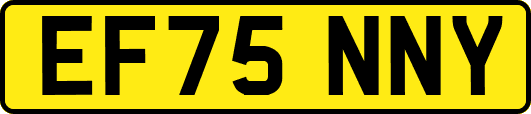 EF75NNY