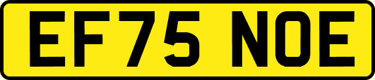 EF75NOE
