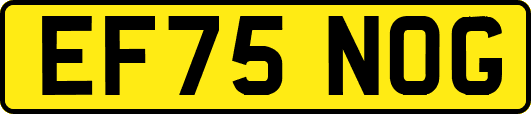 EF75NOG