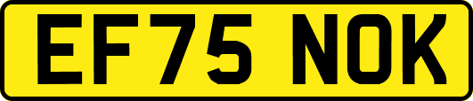 EF75NOK