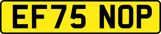 EF75NOP