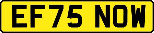 EF75NOW
