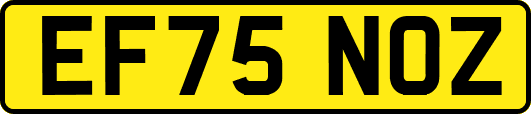 EF75NOZ