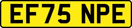 EF75NPE