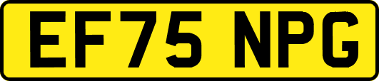 EF75NPG