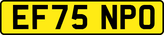 EF75NPO