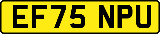 EF75NPU
