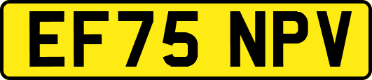 EF75NPV