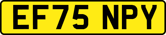 EF75NPY