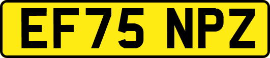 EF75NPZ