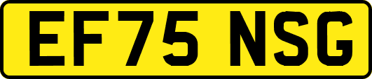 EF75NSG