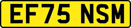EF75NSM