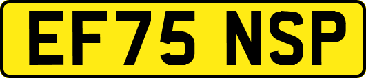 EF75NSP