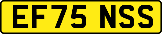 EF75NSS