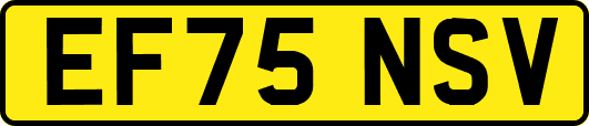 EF75NSV