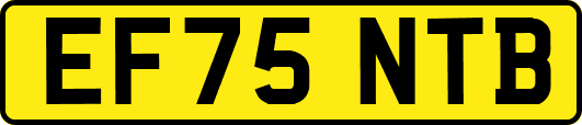 EF75NTB
