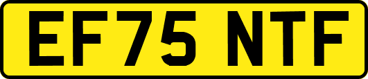 EF75NTF