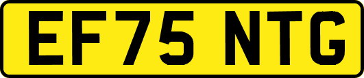 EF75NTG