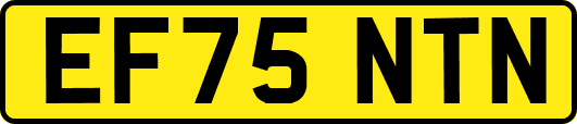 EF75NTN