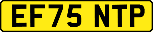 EF75NTP