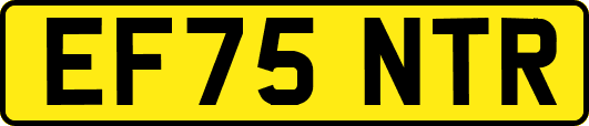 EF75NTR