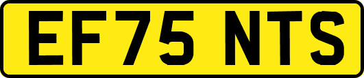 EF75NTS