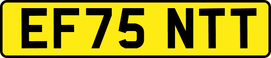 EF75NTT