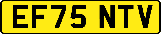 EF75NTV