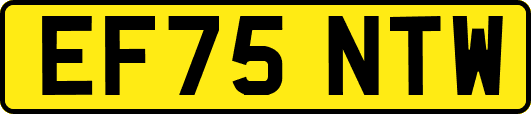 EF75NTW