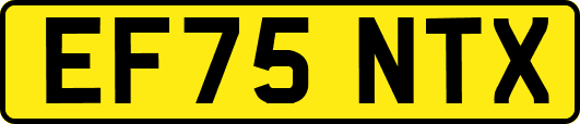 EF75NTX