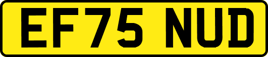 EF75NUD