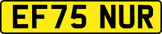 EF75NUR