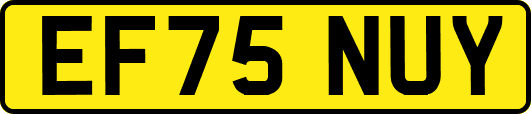 EF75NUY