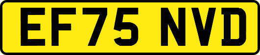 EF75NVD