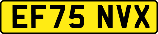 EF75NVX