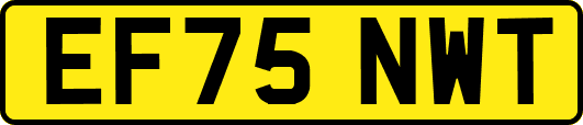 EF75NWT