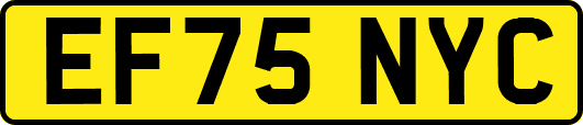 EF75NYC