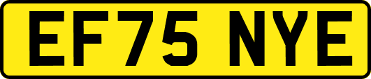 EF75NYE