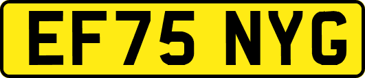 EF75NYG