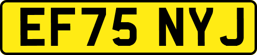 EF75NYJ