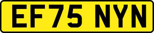 EF75NYN