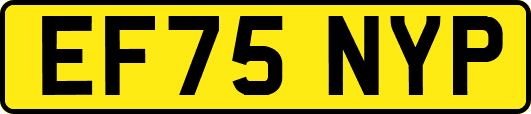 EF75NYP