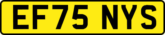 EF75NYS